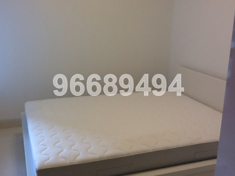 Alexis (D3), Condominium #30902912